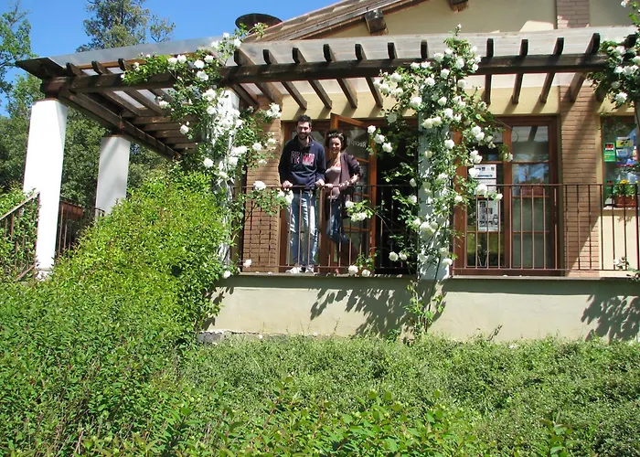 Kamp alanı Il Boschetto Di Piemma San Gimignano