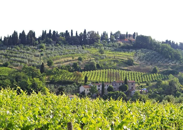 Kamp alanı Il Boschetto Di Piemma San Gimignano